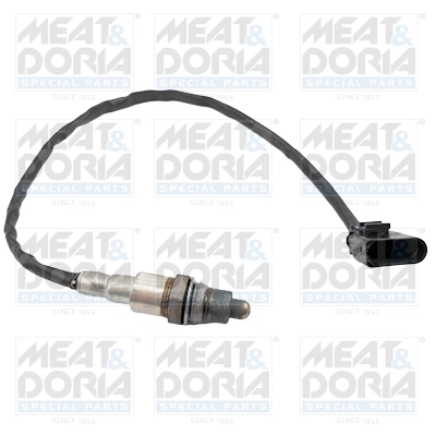 Oxygen Sensor